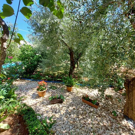 Big Pool Apartment Pula Pula